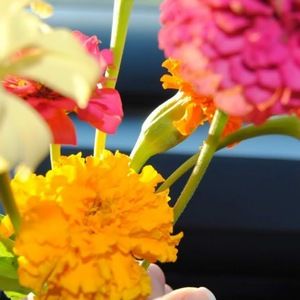 Meet your Posher, Nicki